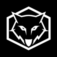 Ayonic Gym Logo