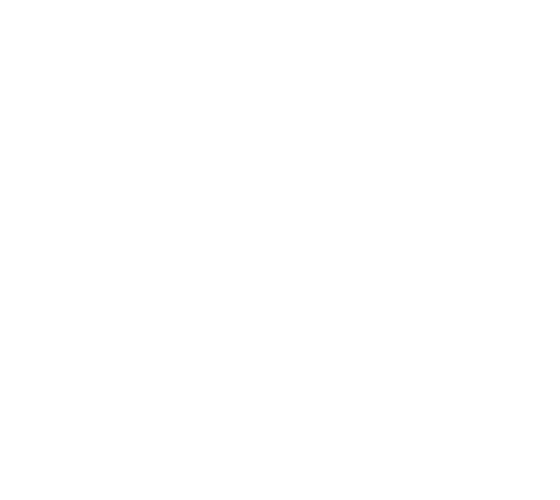 SYNERGY by Ayra Cosmetics Logo