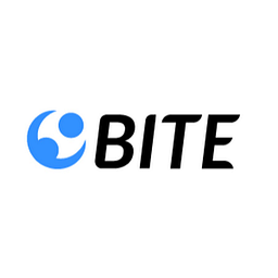 Business IT Engineers Logo