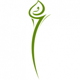 Blumenbinderei Bachmaier Logo