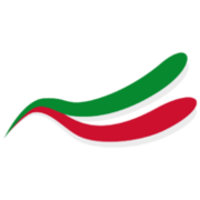 Bandiere.it Logo