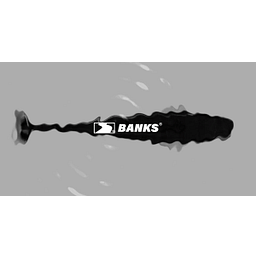 BANKS Logo