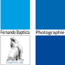 Baptista Fernando Logo