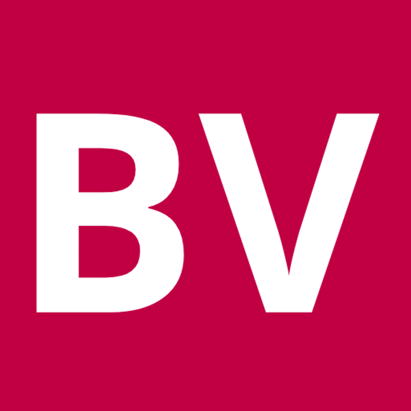 Barbara Valenti Logo