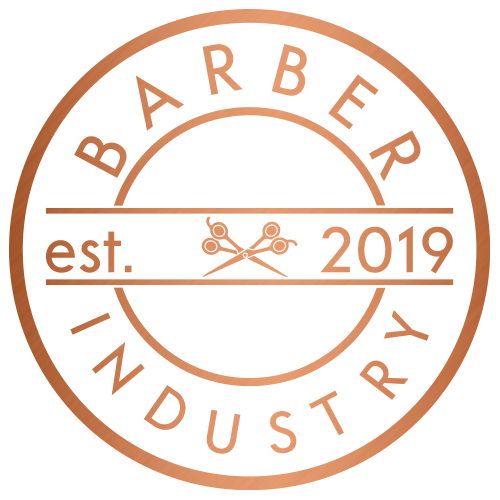 BA IN GmbH Logo