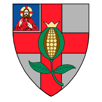 Barmherzige Brüder e.V. Logo