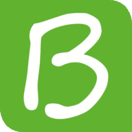Baronestick Logo