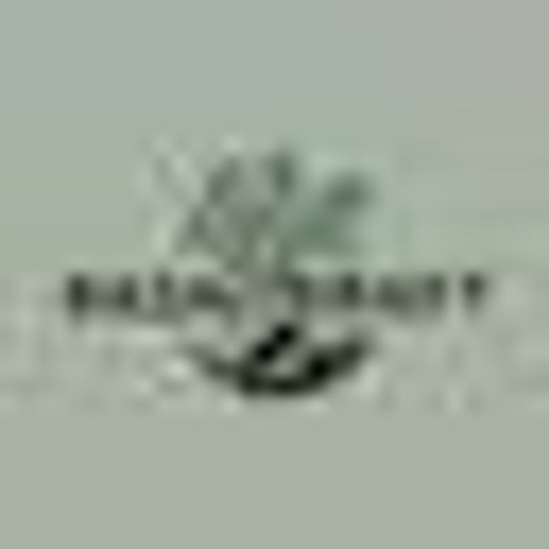Basaltkraft Logo