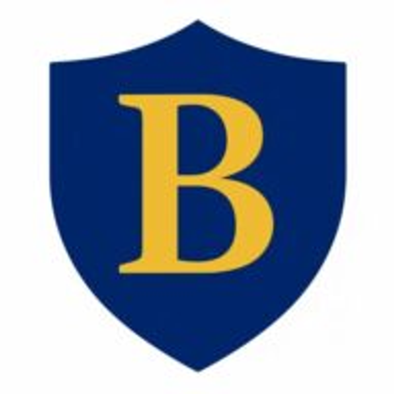 BASS Akademie Logo