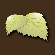 Bauernhofcafé Birkenhof Logo