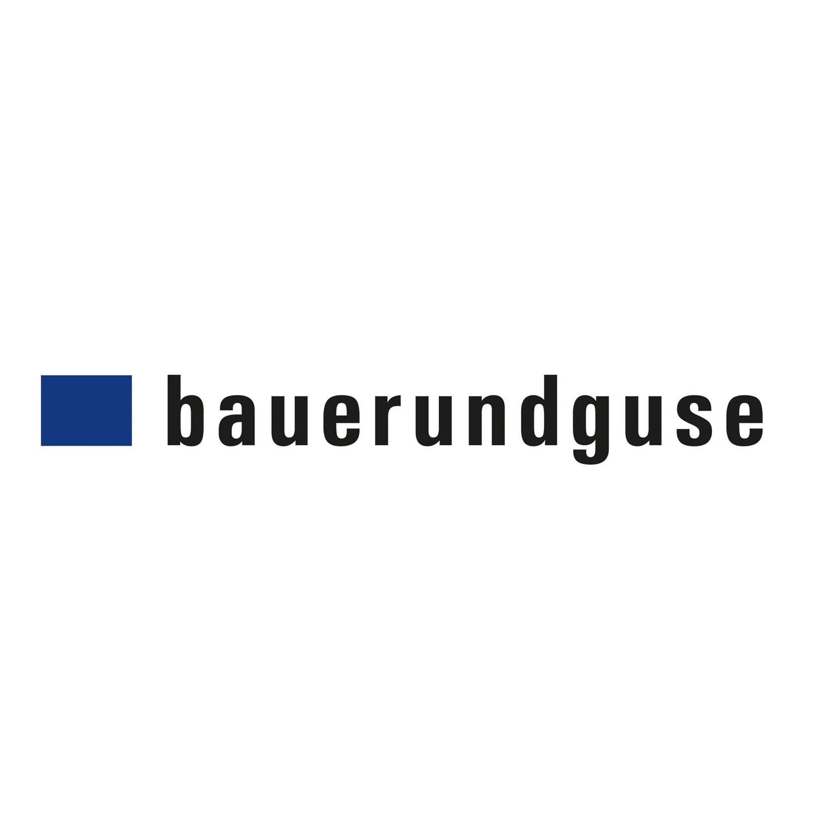 Bauer und Guse GmbH Logo