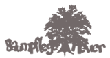 Heuer Ingo Baumpflege Logo