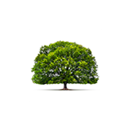 baumteufel24.de Logo
