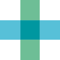Bausch & Lomb Logo