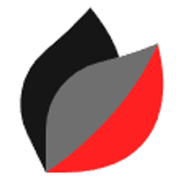 BCT-Brennholz Logo