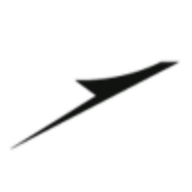 BDM Germany GmbH Logo