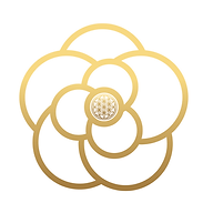 Beauty Fine Concept- Kosmetikstudio, Ästhetik, Naturkosmetik & Longevity Logo
