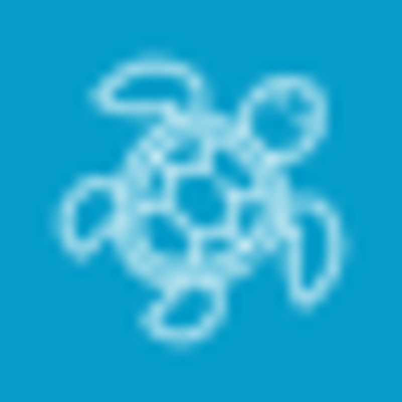 Belnemhousebonaire Logo