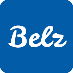 Belz H. Dipl.-Ing. VDI Logo