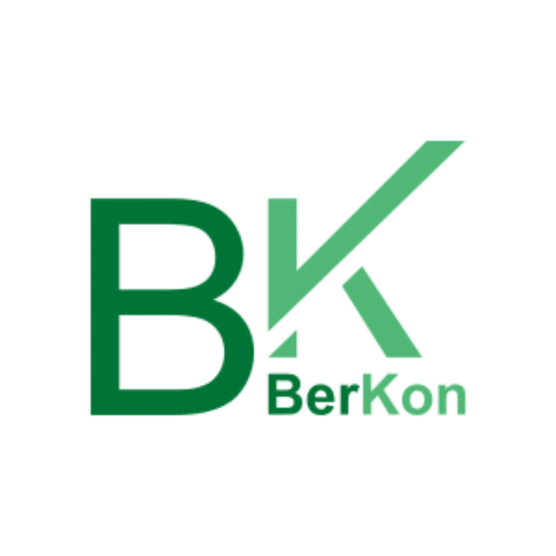 BerKon GmbH Wirtschaftsprüfungsesellschaft Logo