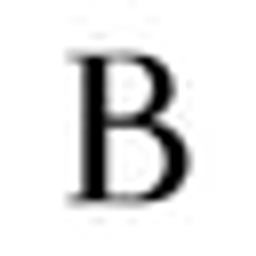 Berlinlook Logo