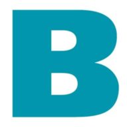 Bernwieser GmbH Logo