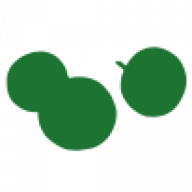 Berry-Events Logo