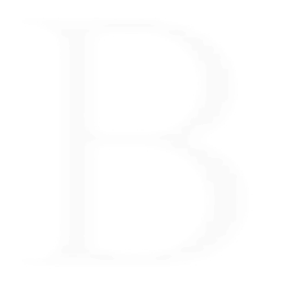 Bertinigroup Logo