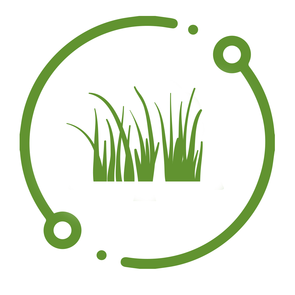 Bertlich Rollrasen Logo