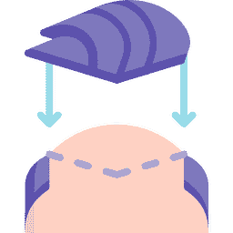 Best Hair System Logo