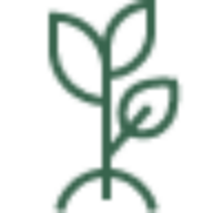 Beyer P. Garten- und Landschaftsbau GmbH Logo