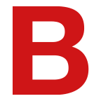 Biedermann Kamine und Bau GmbH Bauunternehmen Logo