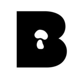 Bien Health Logo