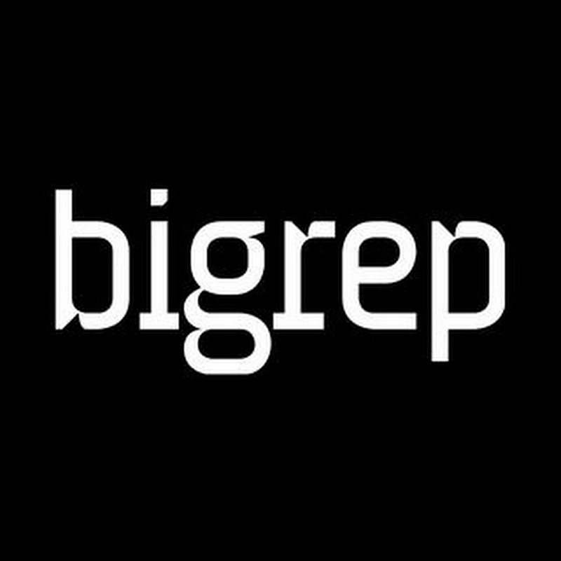 Bigrep Logo