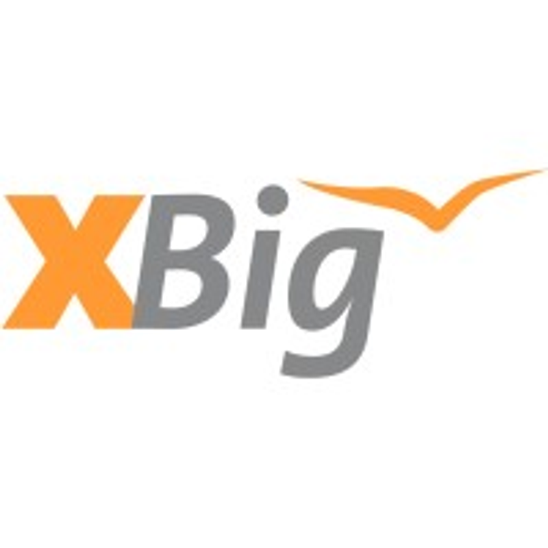 BigXtra Logo
