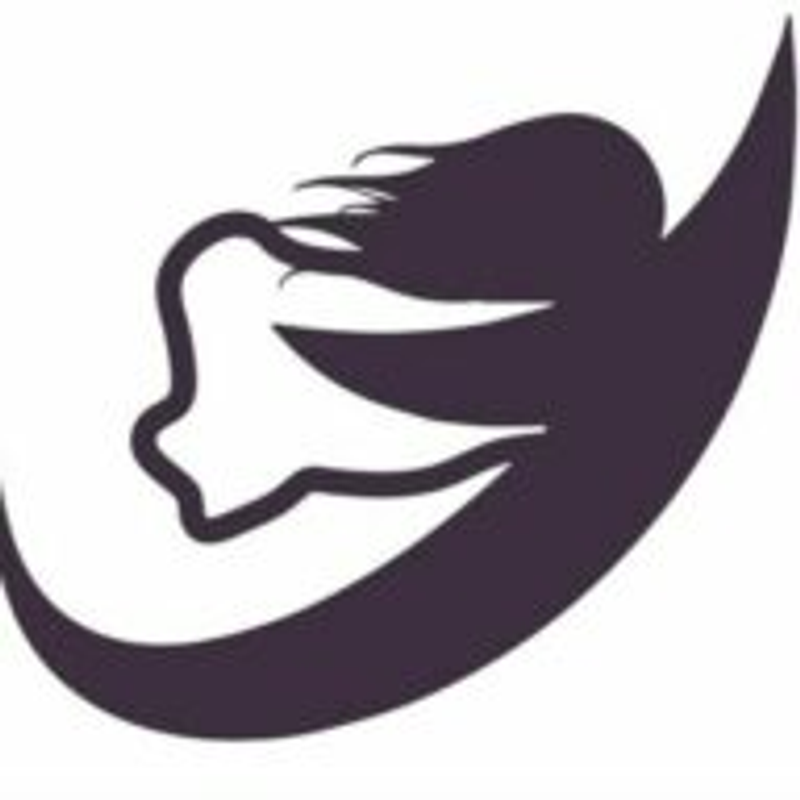 Bilanzheldin Logo