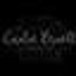 Carolin Brandt Bilderwelten Logo