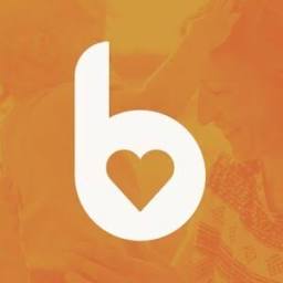 BINDU Institut Logo