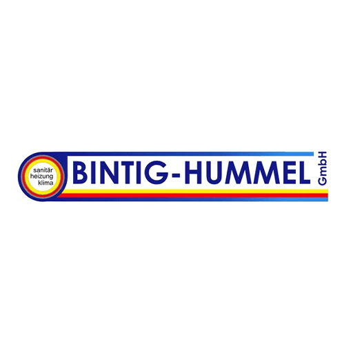 Bintig-Hummel GmbH Logo