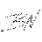 Birger Nispel Logo