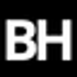 Birgit Hamburg Logo