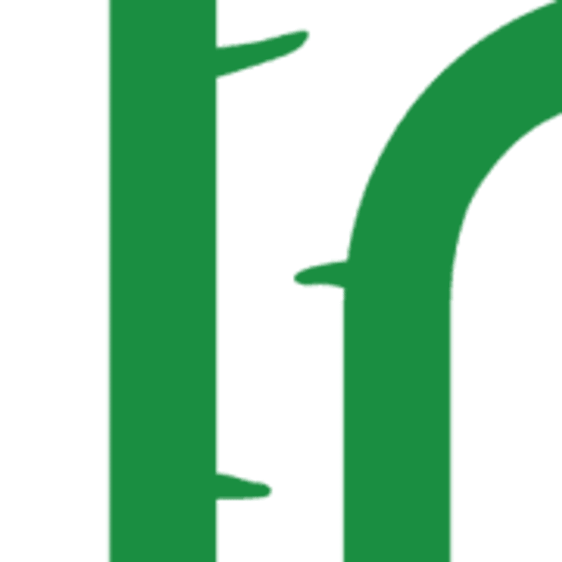 Birkenstudio Logo