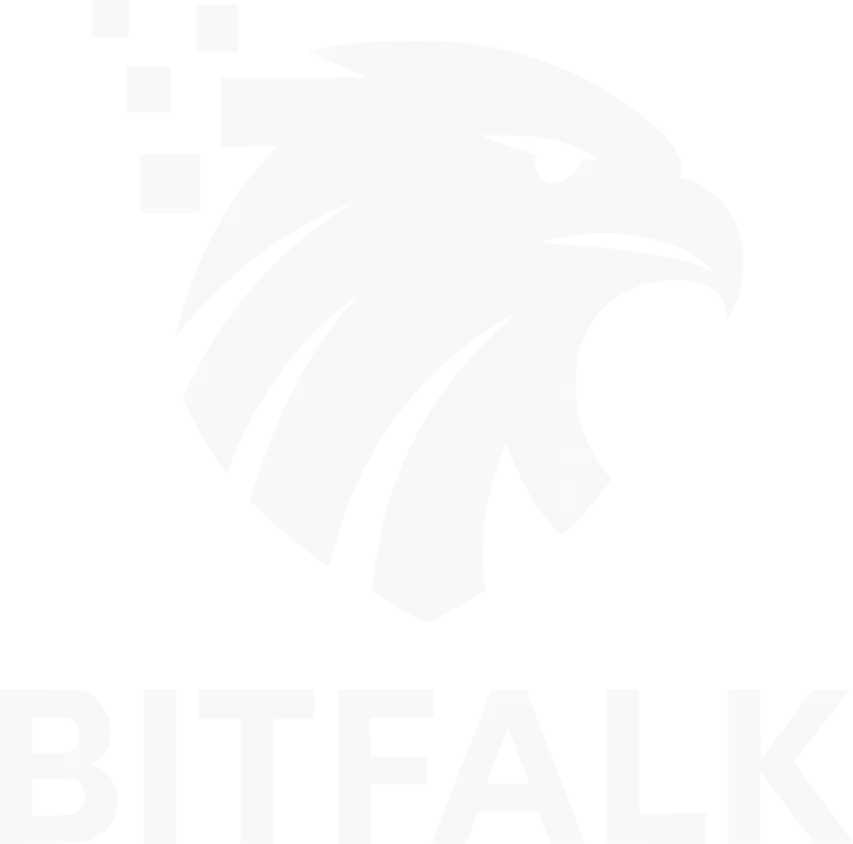 Bitfalk Systems Logo