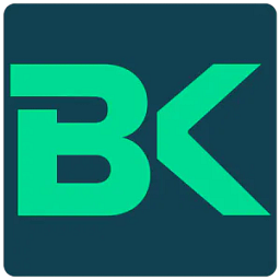 BiTKiP Consulting Logo