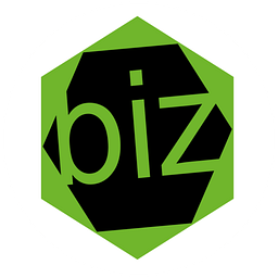 Biz Digital Marketing Logo