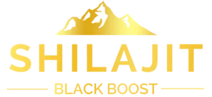 Black Boost Shilajit Logo