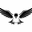 Black Bird Global GbR Logo