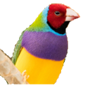 blattner-heimtierfutter.de Logo