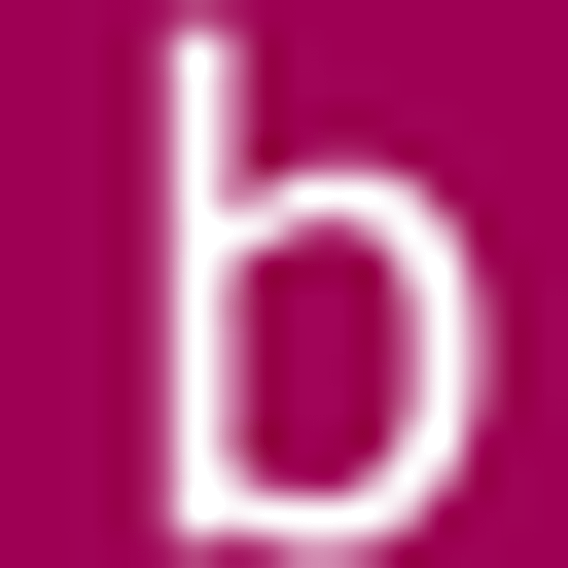 blinckmann languages and marketing Logo