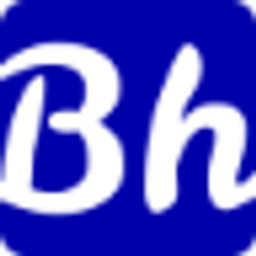 Blockhashpro Logo